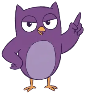 Faqs owl
